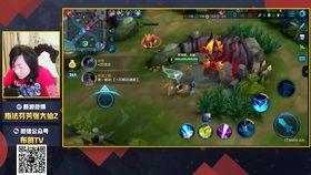 新英雄爆料张飞是谁啊视频,视频爆料揭示神秘英雄身份